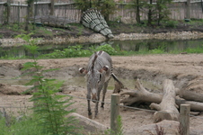 Enlarge photo 157