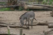 Enlarge photo 158