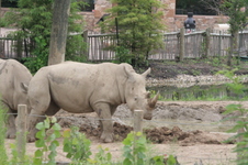 Enlarge photo 159