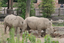 Enlarge photo 160