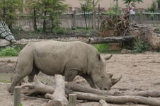 Enlarge photo 162