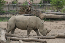 Enlarge photo 163