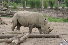 Enlarge photo 164