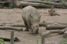 Enlarge photo 166