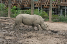 Enlarge photo 179