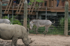 Enlarge photo 188