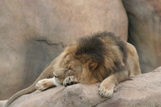 Enlarge photo 192