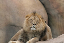 Enlarge photo 208