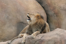 Enlarge photo 213
