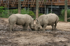 Enlarge photo 224