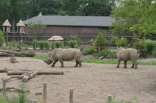 Enlarge photo 272