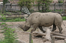 Enlarge photo 273