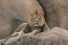 Enlarge photo 291