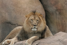 Enlarge photo 296
