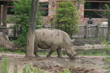 Enlarge photo 298