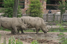 Enlarge photo 299