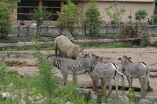 Enlarge photo 304