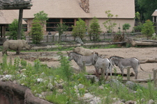 Enlarge photo 309