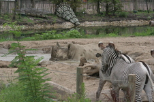 Enlarge photo 311