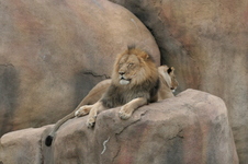 Enlarge photo 314