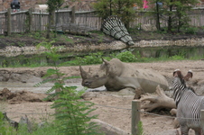 Enlarge photo 315