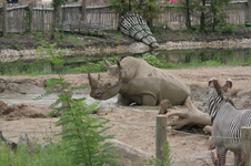 Enlarge photo 316