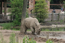 Enlarge photo 317
