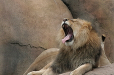 Enlarge photo 318