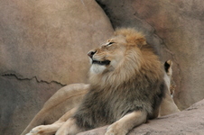 Enlarge photo 322