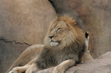 Enlarge photo 324