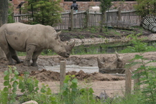 Enlarge photo 325