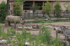 Enlarge photo 326