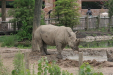 Enlarge photo 327