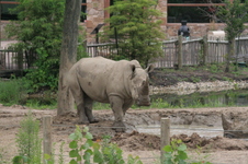 Enlarge photo 328