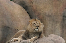 Enlarge photo 329