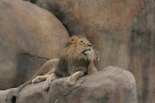 Enlarge photo 331