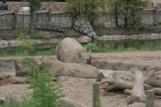 Enlarge photo 344