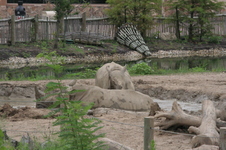 Enlarge photo 346