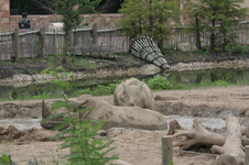 Enlarge photo 347