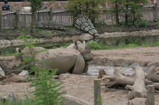 Enlarge photo 348
