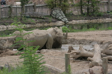 Enlarge photo 349