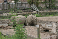 Enlarge photo 350