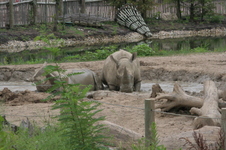 Enlarge photo 353
