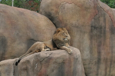 Enlarge photo 354