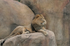 Enlarge photo 355