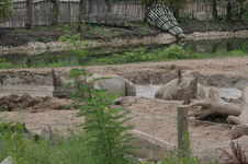 Enlarge photo 356