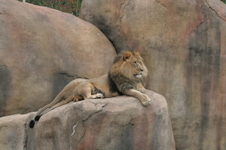 Enlarge photo 357