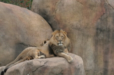 Enlarge photo 359