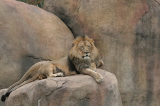 Enlarge photo 361