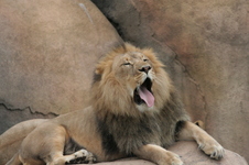 Enlarge photo 363